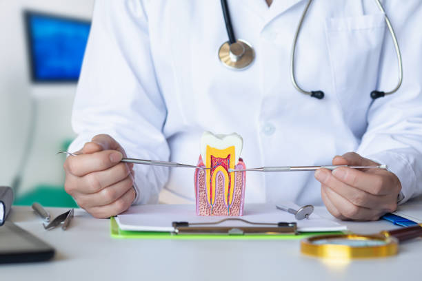 Best Emergency Tooth Extraction in Dorneyville, PA